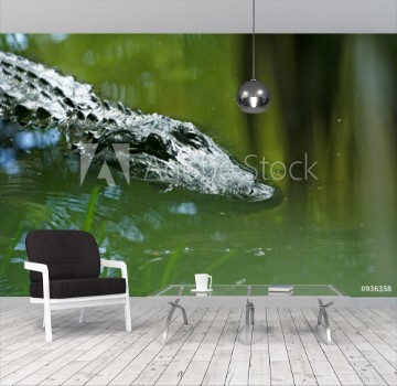 Bild på sneaky crocodile